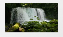 瀑布视频,壮丽自然景观的视觉盛宴