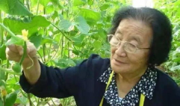 娱乐圈吃瓜小达人是什么,吃瓜小达人的八卦江湖